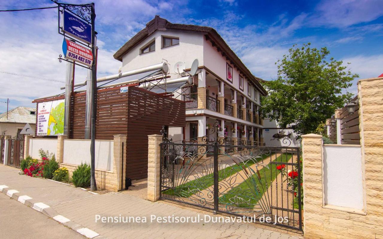Pensiunea Pestisorul Dunavatu de Jos Exterior photo